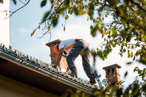Best Gutter Installation and Roofing  in Woodville, OH