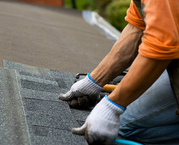 Best Storm Damage Roof Repair  in Woodville, OH