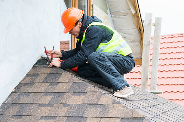 Best Roof Restoration Services  in Woodville, OH