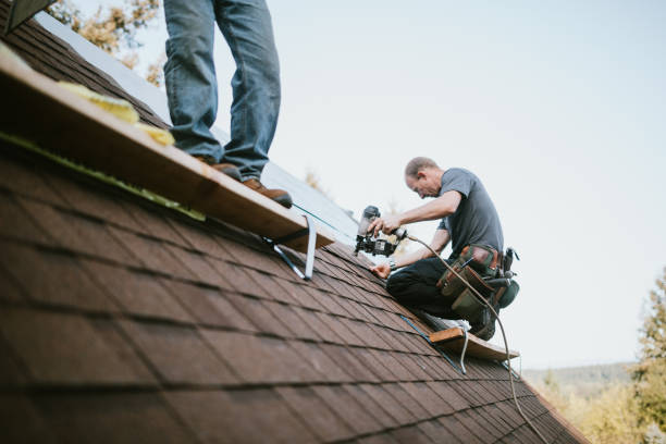 Best Roof Maintenance Services  in Woodville, OH