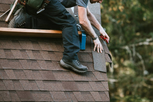 Best Roof Gutter Cleaning  in Woodville, OH