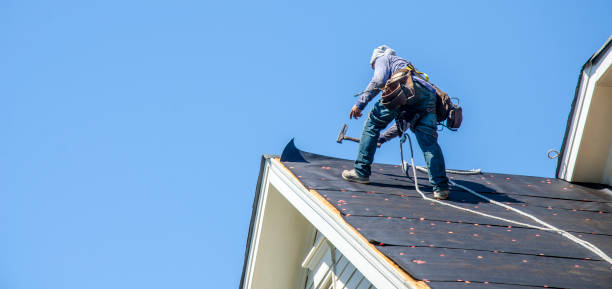 Best Roof Waterproofing Services  in Woodville, OH